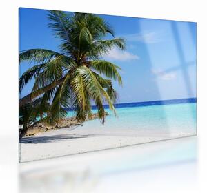 Staklena slika palme na plaži (70x50 cm)