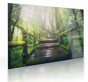 Staklena slika - drvene stepenice u šumi (70x50 cm)