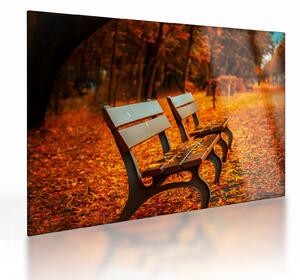 Staklena slika klupe u jesen (70x50 cm)