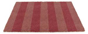 Otirač od kokosovih vlakana 40x60 cm Pink Stripe – Artsy Doormats