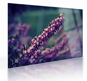 Staklena slika lavande (70x50 cm)