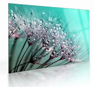 Staklena slika - rosna biljka (70x50 cm)