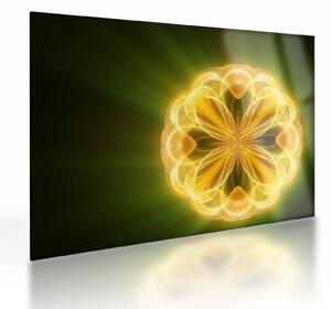 Staklena slika žutog cvijeta (70x50 cm)
