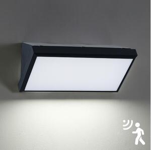 Brilagi - LED Vanjska zidna svjetiljka sa senzorom TRIANGLE LED/20W/230V crna