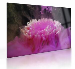 Staklena slika cvijeta u ružičastom dimu (70x50 cm)