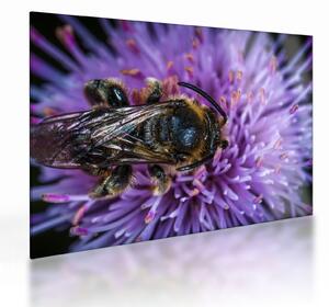 Staklena slika pčele na cvijetu (70x50 cm)