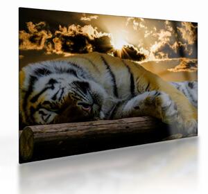 Staklena slika usnulog tigra (70x50 cm)