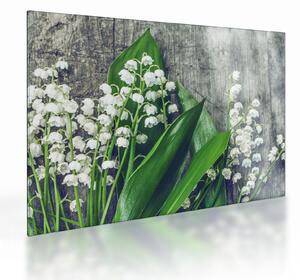Staklena slika đurđica (70x50 cm)