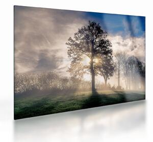 Staklena slika drveta u magli (70x50 cm)