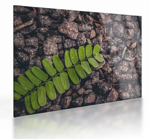 Staklena slika zelene biljke (70x50 cm)