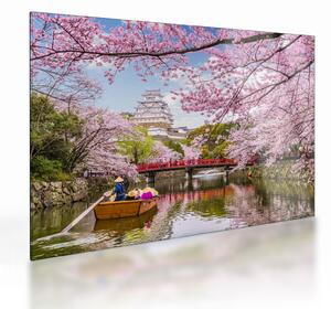 Staklena slika japanske trešnje (70x50 cm)
