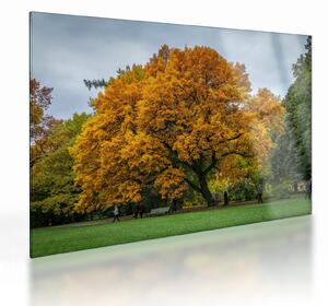 Staklena slika stabla (70x50 cm)