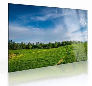 Staklena slika livade (70x50 cm)