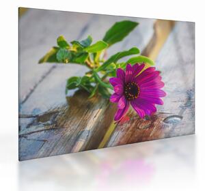 Staklena slika rezanog cvijeta (70x50 cm)