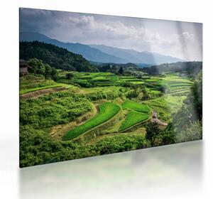 Staklena slika rižinih polja (70x50 cm)