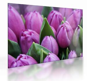Staklena slika - cvijeće tulipana (70x50 cm)