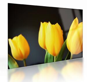Staklena slika tulipana (70x50 cm)
