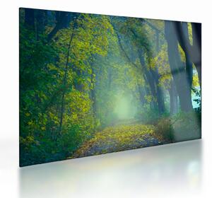 Staklena slika staze obrubljene drvećem (70x50 cm)