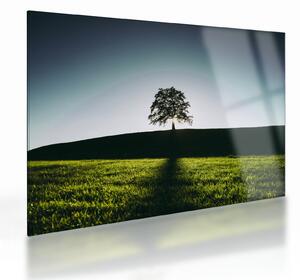 Staklena slika prirode - stablo (70x50 cm)