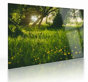 Staklena slika prirode - livada (70x50 cm)
