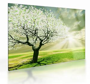 Staklena slika cvatućeg stabla (70x50 cm)