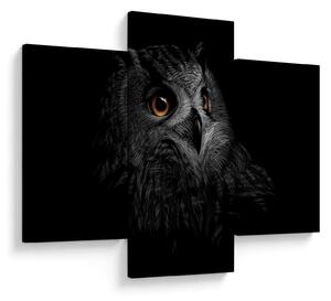 Slika - Sova, ilustr (90x60 cm)