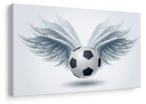 Slika - Balon s krili (90x60 cm)
