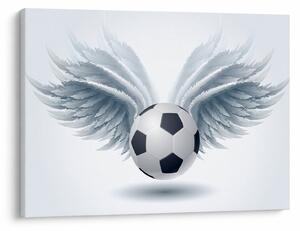Slika - Balon s krili (70x50 cm)