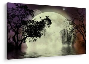 Slika - Polna luna nad površjem (90x60 cm)