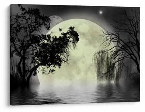 Slika - Polna luna nad površjem, črno-bela različica (70x50 cm)
