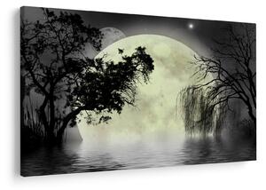 Slika - Polna luna nad površjem, črno-bela različica (90x60 cm)