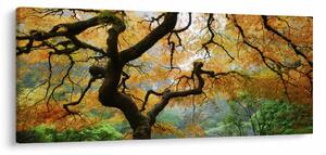Slika rumenega japonskega javorja, Portland, Oregon (120x50 cm)