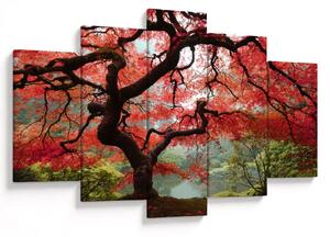 Slika rdečega japonskega javorja, Portland, Oregon (150x105 cm)