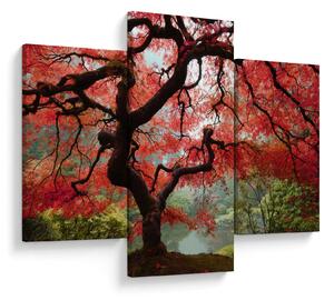 Slika rdečega japonskega javorja, Portland, Oregon (90x60 cm)