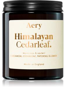 Aery Fernweh Himalyan Cedarleaf mirisna svijeća 140 g