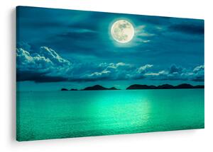 Slika - Polna luna nad površjem (90x60 cm)