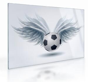 Staklena slika - Balon s krili (70x50 cm)