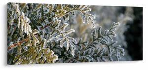 Slika - detalj grane (120x50 cm)