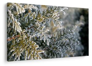 Slika - detalj grane (90x60 cm)