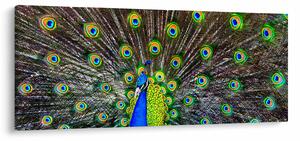 Slika - Paun (120x50 cm)