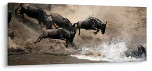 Slika - Krdo gnuova (120x50 cm)