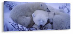 Slika - Polarni medvjedi (120x50 cm)
