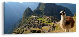 Slika - Lama i Machu Picchu (120x50 cm)