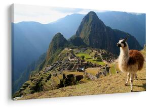 Slika - Lama i Machu Picchu (90x60 cm)