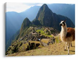 Slika - Lama i Machu Picchu (70x50 cm)