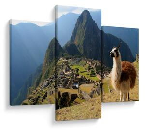 Slika - Lama i Machu Picchu (90x60 cm)
