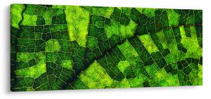 Slika - Detalj lista (120x50 cm)