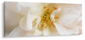 Slika - Cvijet (120x50 cm)