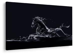Slika - Konj i voda (90x60 cm)