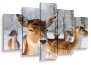 Slika -Bambi (150x105 cm)